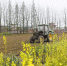 春管春播.jpg - 农业机械化信息网