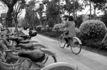 公共单车填空白 一骑当先好心态 服务升级多平台 缔造幸福有情怀 - Syd.Com.Cn