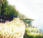 浑河两岸三条滨水绿化带全面开建 - 沈阳市人民政府