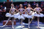 辽宁交响乐团打造特别节目与小朋友欢度节日 - 文化厅
