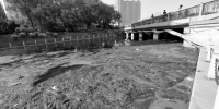市民投诉：我好像遇到了假的河道清污队淤积水草不打捞一个劲儿地任它往下游漂 - Syd.Com.Cn