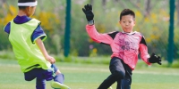 “哥德杯中国”，加深了孩子们对足球的爱 - Syd.Com.Cn