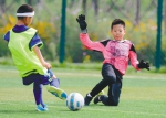 “哥德杯中国”，加深了孩子们对足球的爱 - Syd.Com.Cn