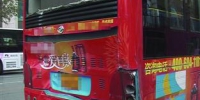 沈阳：公交车追尾肇事14人受伤 司机称睡着了 - 辽宁频道