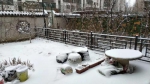 看谁还说雪下丢了！辽宁今年第一场雪终于来临 - 辽宁频道