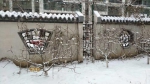 看谁还说雪下丢了！辽宁今年第一场雪终于来临 - 辽宁频道