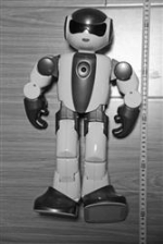 葫芦岛：贼不识货 偷个18万机器人当玩具（图） - 辽宁频道