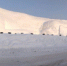 世界最大“雪雕狗”亮相沈阳（图） - 辽宁频道