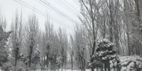 辽宁天气遭遇“过山车”一夜降雪再入冬 - 辽宁频道
