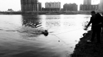 营口一女子溺水 消防救援及时成功脱险（图） - 辽宁频道