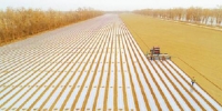 春耕生产进入农机作业高峰期 预计今春将投入2200万台农机 粮油作物机耕率超90% - 农业机械化信息网