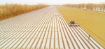 春耕生产进入农机作业高峰期 预计今春将投入2200万台农机 粮油作物机耕率超90% - 农业机械化信息网