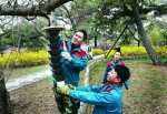 沈阳：90台害虫诱捕器上岗 保护北陵古松（图） - 辽宁频道