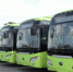沈阳新增更新300辆新能源和清洁能源公交车 - 新浪辽宁