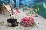 大熊猫冰华在沈阳过生日 吃“竹蛋糕”（图） - 辽宁频道