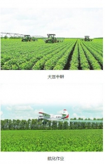 机械化为大豆产业铺就光明前程 - 农业机械化信息网