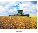 机械化为大豆产业铺就光明前程 - 农业机械化信息网