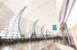 桃仙机场智能化提升 旅客运输量再创新高 - 辽宁频道