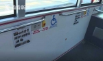 女子坐轮椅乘公交遭司机奚落：残疾人就要少出门 - 新浪辽宁