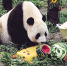 大连：9岁大熊猫的生日趴（图） - 辽宁频道