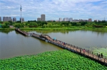 盘锦湖滨公园：生态与文化共发展（组图） - 辽宁频道