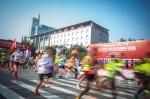 盛京银行2019沈阳国际马拉松激情起跑，2万跑友驰骋浑河两岸 - 中国在线