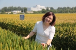 “最美校长”张明梅：为每一个孩子种下真善美的种子 - 中国在线