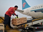 40只金刚鹦鹉由大连搭乘航班飞往南京 - 中国在线