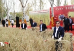 沈阳建筑大学第十七届水稻收获节隆重举行 - 中国在线