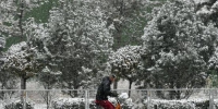 资料图：12月15日，山西省太原市迎来降雪天气，民众冒雪出行。韦亮 摄 - 新浪辽宁