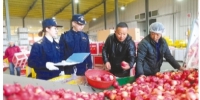 营口：盖州苹果首次出口美国 - 辽宁频道