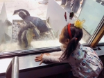 圣亚海洋世界“企鹅幼儿园”开园 - 中国在线