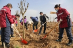 辽宁、宁夏、福建援襄医疗队在抗疫战场种下“希望之树” - 新浪辽宁