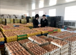 一季度本溪供港鲜鸡蛋同比上涨491% - 中国在线