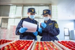 大东港海关零延时验放出口草莓 - 中国在线