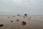 碧海蓝天看辽宁：生产“天下第一鲜”的渤海金滩——蛤蜊岗 - 中国在线