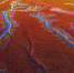 碧海蓝天看辽宁：盘锦红海滩——中国最北海岸线上的火红画卷 - 中国在线