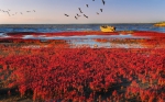 碧海蓝天看辽宁：辽宁团山国家级海洋公园——大自然的“神来之笔” - 中国在线