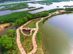 辽河生态景观建设：诗情画意绕阳湖水利风景区在苇海碧波中荡漾 - 中国在线