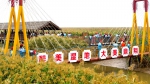 辽河生态景观建设：鼎翔生态旅游区——为你描绘一幅“水天一色”的绝美佳境 - 中国在线