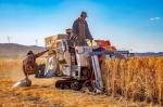 “庆丰收·迎小康”主题摄影大赛向农民致敬为丰收礼赞 - 中国在线