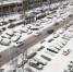 辽宁各地降雪如期而至 最大瞬时风力达到8级 - 辽宁频道