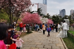 大连市文旅局：春天已至，在大连等您来 - 中国在线