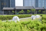 自然艺术空中之旅 品质和平匠心之作——K11雕塑公园精彩启幕 - 中国在线