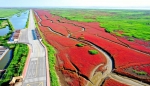 2021盘锦红海滩湿地生态环境保护与湿地生态资源的可持续发展论坛开幕 - 中国在线