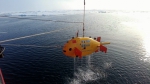 我国研发的自主水下机器人首次完成北极海底科学考察 - 中国在线