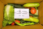 2万余箱！阜新向沈阳发出“暖心蔬菜箱” - 中国在线