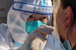 战“疫”召唤 “疫”无反顾——夜半紧急“集结号” 290名医务人员向“疫”出发 - 中国在线