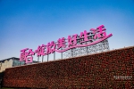 第四届中国凌源百合节盛大开幕 - 中国在线