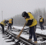 中国铁路沈阳局集团有限公司：积极应对寒潮雨雪天气 保证铁路运输安全畅通 - 中国在线